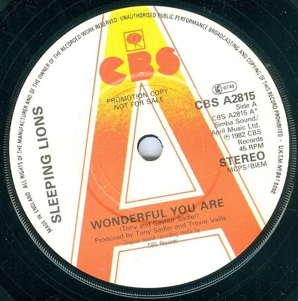 Sleeping Lions  - Wonderful You Are