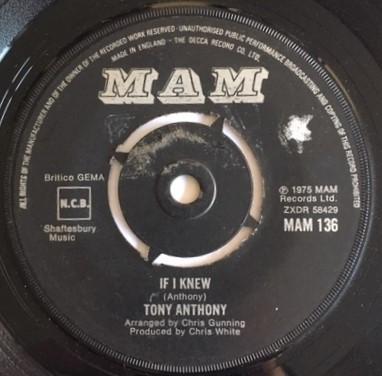 Tony Anthony  - If I Knew
