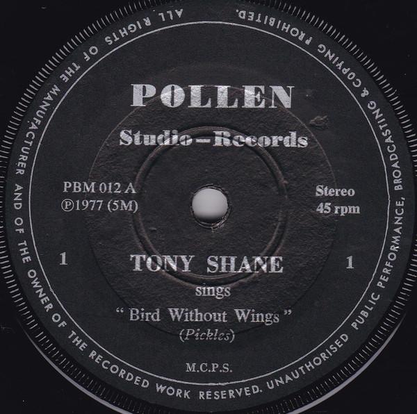 Tony Shane  - Bird Without Wings